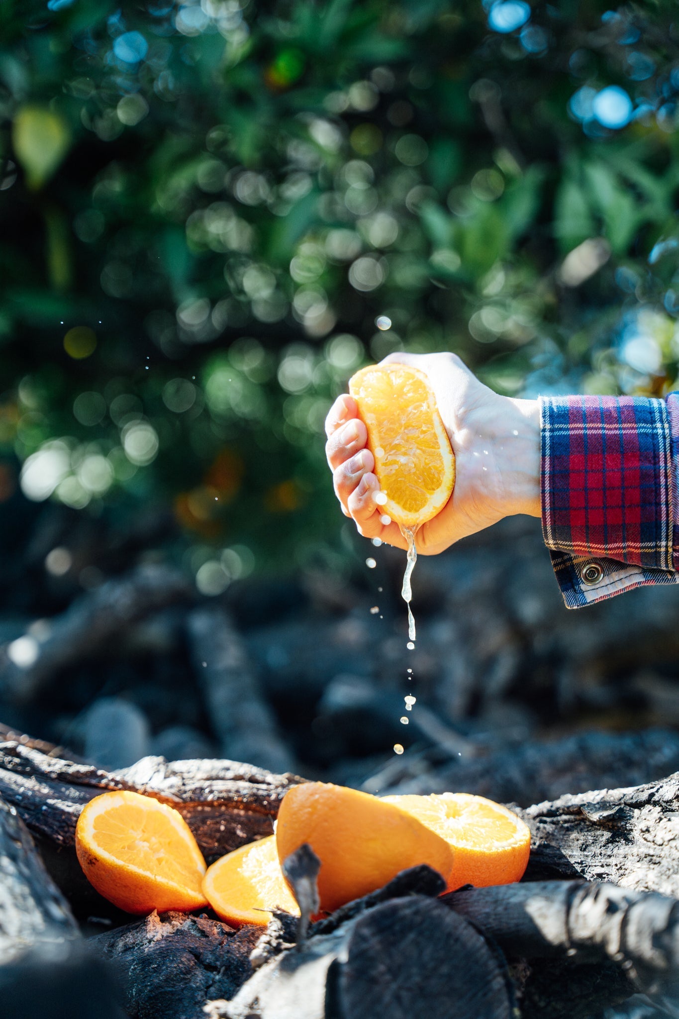 Duurzame citrus in korte keten | Filoes & Rosen Amaras