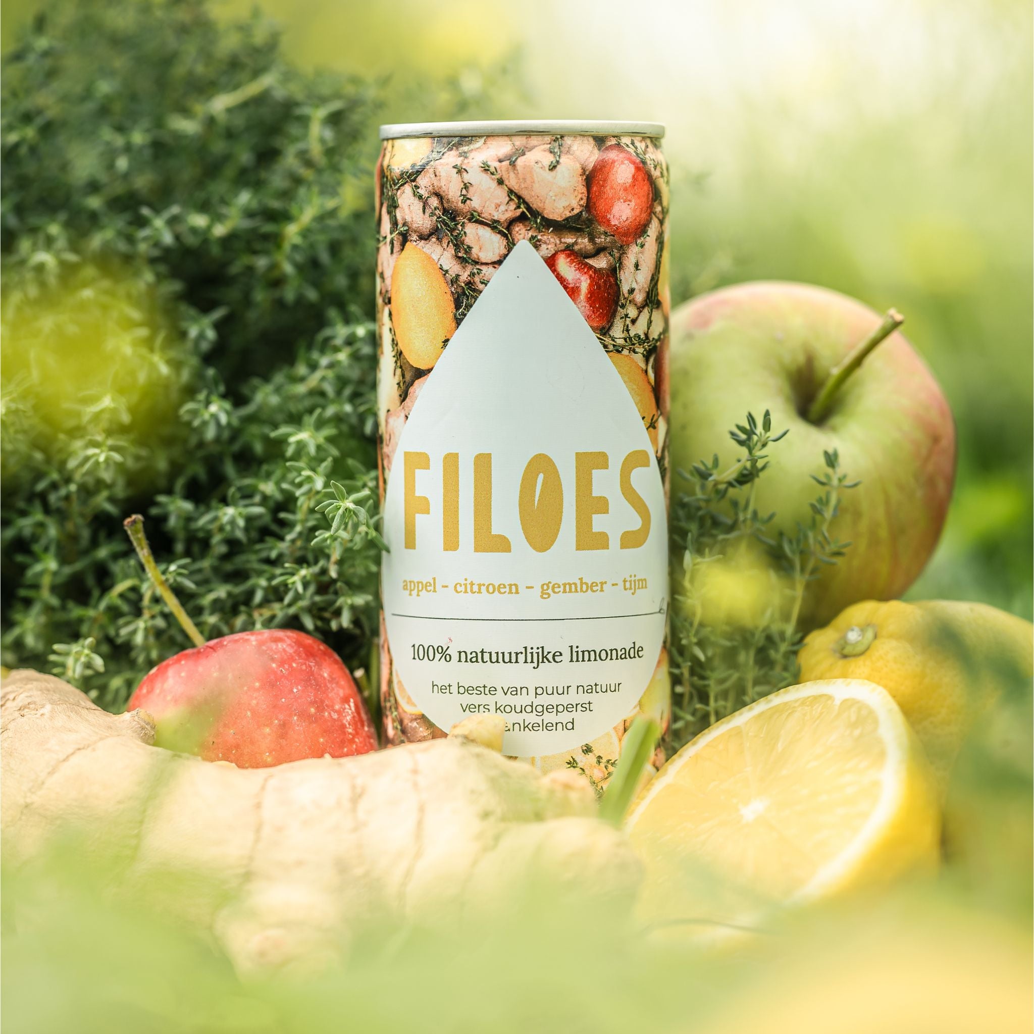 Filoenade (appel, gember, citroen & tijm)