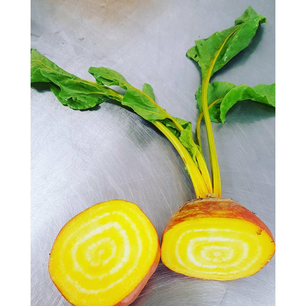 Limited Fall: Funky Beets-Filoes
