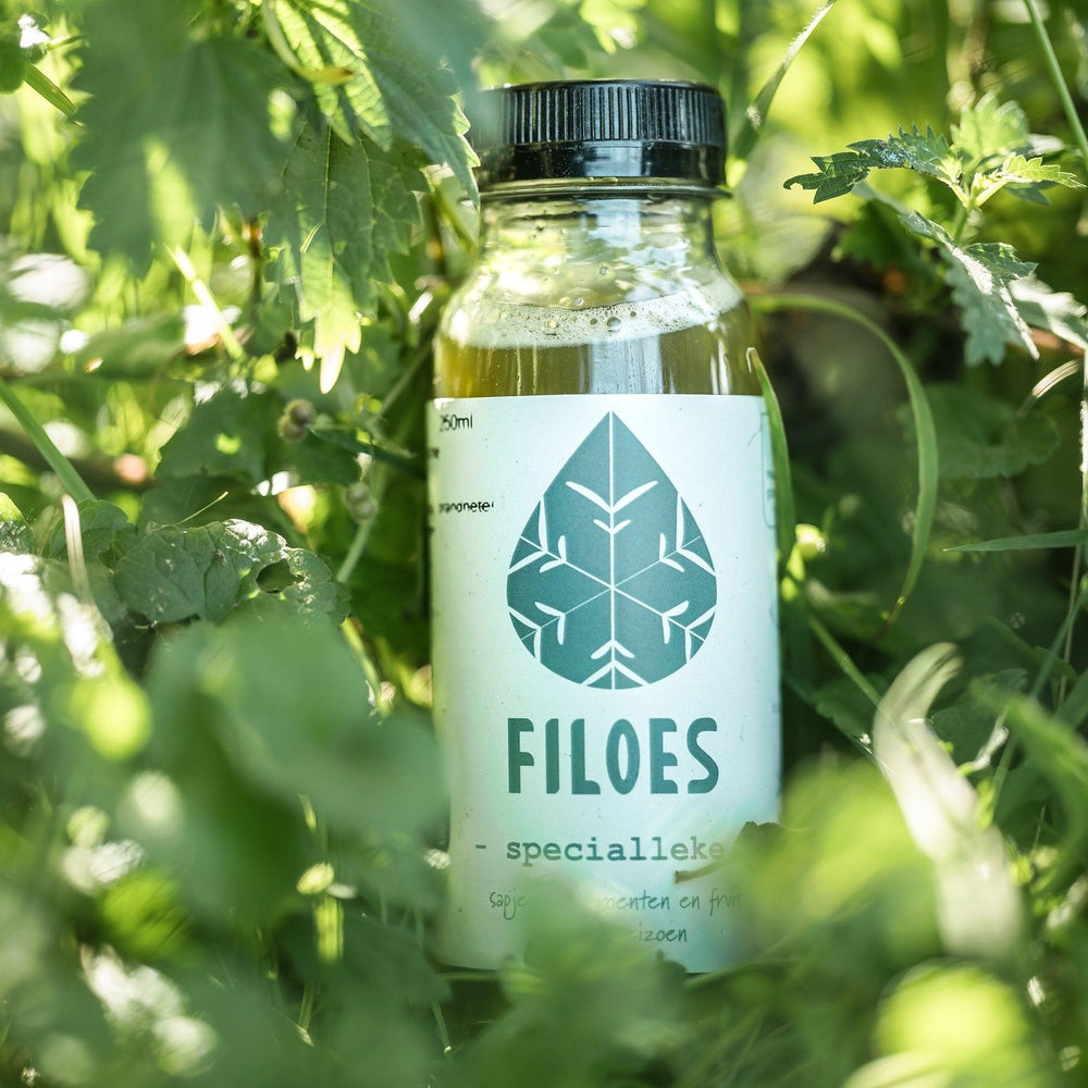 Wild Energy-Filoes