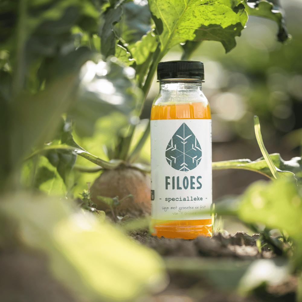 Funky Beets-Filoes